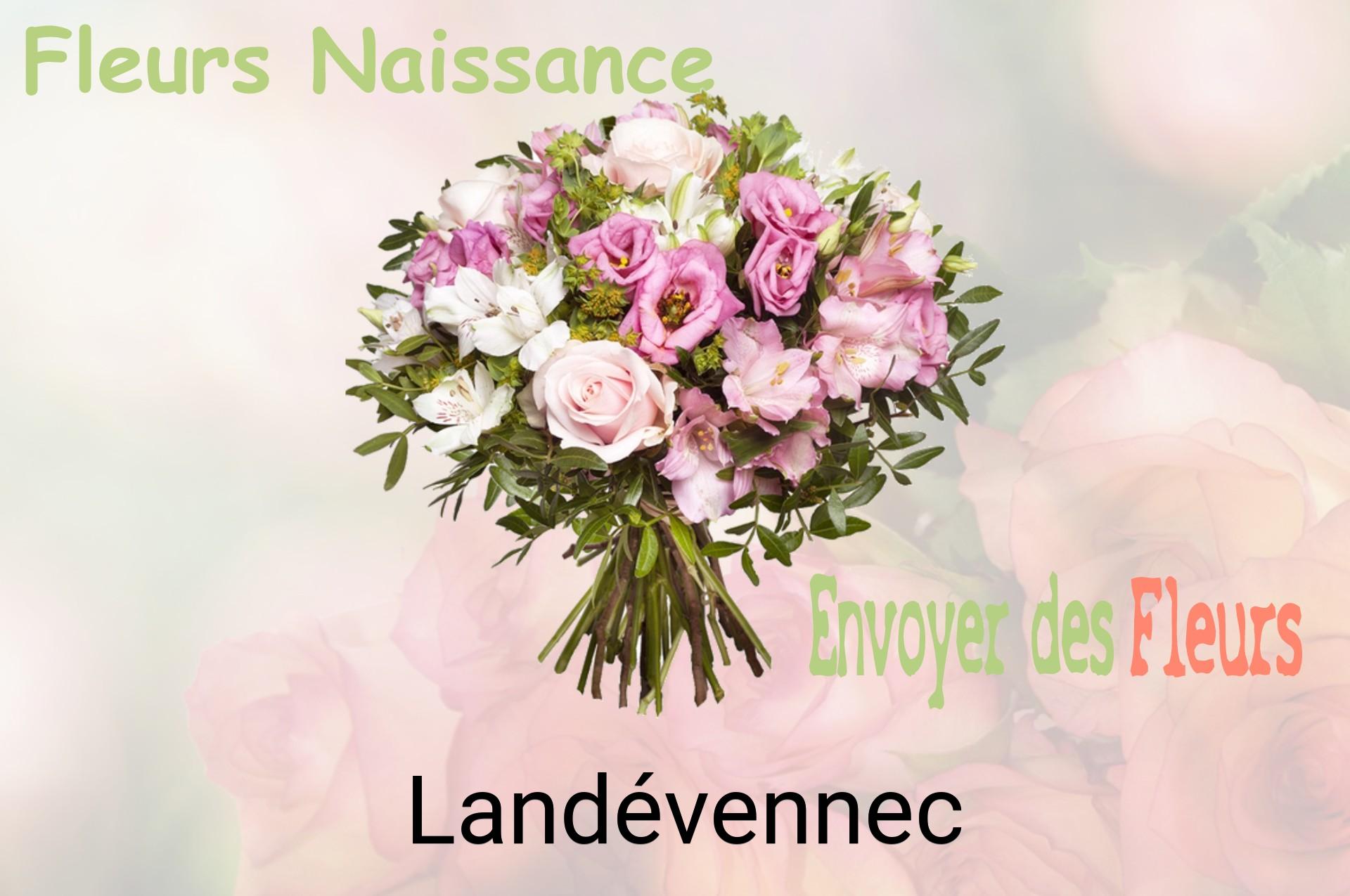 Bouquet de fleurs de naissance livré à Landévennec